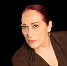 News — Mies van der Rohe Society