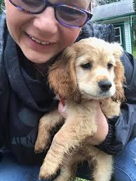 In "Christmas In Connecticut," we're told the baby's name is Roberta. After  her bath, the sailor calls her Molly.