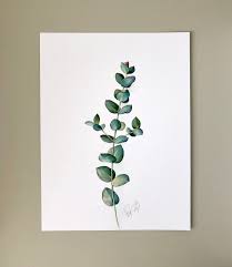 Eukalyptus Original Aquarell Bild Botanik Poster Grune Blatter Malerei Immergrune Pflanze Eukalyptus Zweig Illustration Artsy Etsy