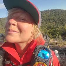 The Idiot's Guide to Bee Stings