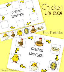 Replicate the wonderous life cycle of a chicken using household items. Chicken Life Cycle Free Printables Natural Beach Living Animal Activities For Kids Chicken Life Cycle Life Cycles