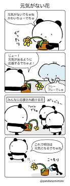 パンダ のみ みみ