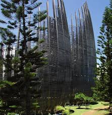 Image result for Lovoa swynnertonii