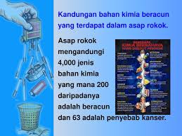 Bahkan perokok pasif yang menghirup asap rokok juga memiliki risiko tinggi terhadap kesehatan mereka karena bahan kimia berbahaya yang ada. Jadikan Udara Kita Bersih Dan Bebas Daripada Asap Rokok Ppt Download