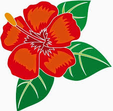 Bunga raya nationalblume malaysias roter hibiskus bunga r flickr. Lukisan Bunga Raya Bunga Kebangsaan