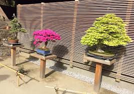 Ellie M Hill Bonsai Terrace Portland Japanese Garden Bonsai Japanese Garden