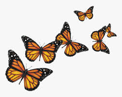 Looking for a good deal on butterfly monarch? Blue Butterfly Flying Png Download Transparent Background Butterflies Png Png Download Transparent Png Image Pngitem