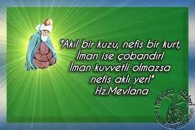 mevlana sozleri panosundaki pin