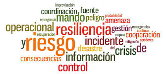 Resultat d'imatges de resiliencia