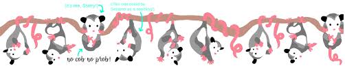 About Sesame The Opossum Super dynamic possum of tomorrow. about sesame the opossum