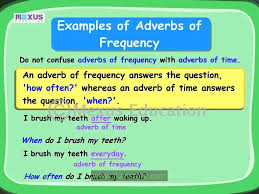 · we take a vacation at least once annually. Top20english Iken Edu Adverbs Of Frequency Facebook