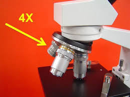 The serengeti plains are part of the african savanna ecosystem and are home to a variety of different species of plants and animals. Microscope Labeling Flashcards Quizlet
