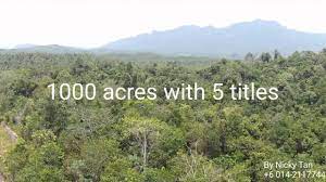 Condominiums, houses, townhouses, villas, commercial space, plots of land. Agricultural Land For Sale In Maran Pahang Malaysia 2017 Youtube