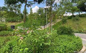 Formerly known as the little guilin lake garden, bukit batok town park is home to little guilin, . Oqmpp4 E54rh6m