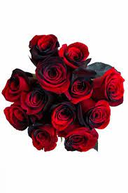 Maybe you would like to learn more about one of these? Black Red Tinted Roses