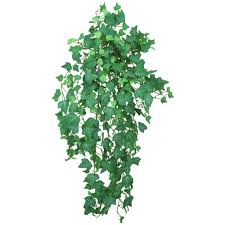 The faux privacy hedge is made of polyester fabric to withstand weather conditions and resist fading. Frosted Trailing Green Ivy Faux Ivy Bush Shelf Edge Uk
