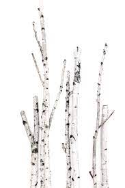 Black And White On White Still Tree Textures Photoshop Resources Black And White