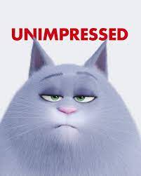 Cats 2019 cats filme completo dublado baixar. The Secret Life Of Pets On Instagram Unimpressed See Chloe Return With The Pets On June 7 In These Netflix Filmes E Series Papel De Parede Da Disney Filmes
