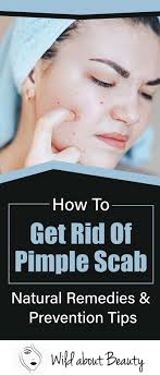 Jun 27, 2017 · to get rid of a scabbed pimples: How To Get Rid Of Pimple Scabs Natural Remedies And Prevention Tips