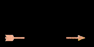 Area Lodging Options