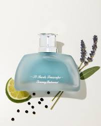 Image result for Ocean Mist 1983 Hussmann