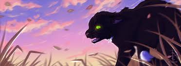 Ravenpaw By Fox Desert Deviantart Com On Deviantart Warrior Cats Art Warrior Cats Fan Art Warrior Cats