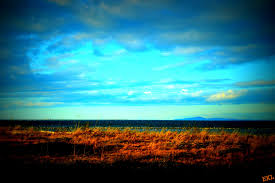 Jamestown Beach Sequim Wa February 2013 Natural Landmarks Landmarks Beach