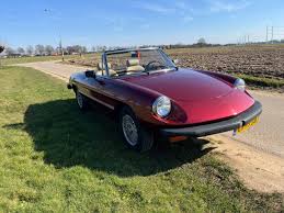 Image result for Rosso 1981 Alfa-Romeo