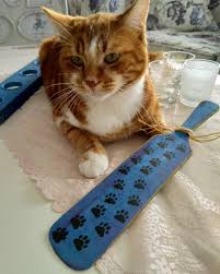 Bir Kedi Gordum Sanki En Guzel Tasarimlar Icin Dm Cat Kisiyeozel Kedi Duvarpanosu Kitap Istanbul Richmultisurf Sunglasses Case Skateboard Case