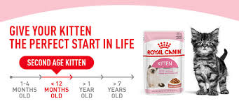 Royal Canin Kitten In Gravy Wet Food 12 X 85g Gravy