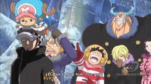 trafalgar law and chopper the chopper hat one piece anime one piece funny one piece manga