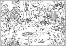 Turtles 16 17 Gif 592 414 Jungle Coloring Pages Zoo Animal Coloring Pages Farm Animal Coloring Pages