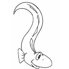 Conger eel coloring page visit dltk's ocean animals crafts and printables. Eel Coloring Page