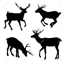 Maybe you would like to learn more about one of these? Deer Silhouette Vector Head Forest Illustration Decoration Stock Photo Picture And Royalty Free Image Image 94808265