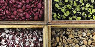 Hence it is a type of gene bank. How To Start A Seed Bank Primal Survivor