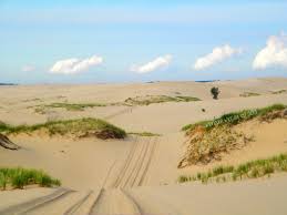 Mac Woods Dune Rides Silver Lake Sand Dunes Michigan Silver Lake Sand Dunes Silver Lake Michigan Silver Lake