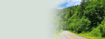 Search for more papers by this author Virginia North Carolina South Carolina Pet Eye Care Animal Eye Care