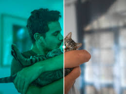 Your Cat Can See Things That Are Invisible To Humans. Your Dog Probably  Can, Too.