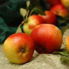 Flemings top 10 fruit trees grow to about 4 x 4m* and dwarf trees about 2.5 x 2.5m*. Apple Ballerina Samba Fruit Trees For Sale Buy Online