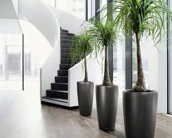 Todo depende de cuál sea el objetivo que tenemos a la hora de crear un nuevo espacio. Ideas Para Decorar Tu Hogar Y La Oficina Con Plantas Garden Catalunya Plants Sant Vicenc Dels Horts Barcelona