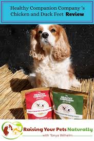 Best Dog Bones For Dogs Healthy Companion Company Dog Chicken Feet And Duck Feet For Dogs Review Dog Bones Safe Dog Chews Dogs