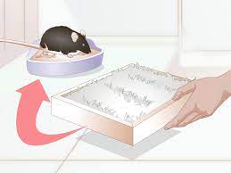Set up a kitty litter tray at one end of the cage, with max's litter in it, and use newspaper pellets for the rest of the cage. How To Litterbox Train Your Rat 11 Steps With Pictures