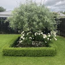 Looking for some creative diy design and ideas to make your garden awesome? Landscape Design Nz Garden Landscaping The Plant Store