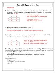 I can label and correctly complete a punnett square using the diagram in the packet and the practice for spongebob squarepants. 7 Punnett Square Practice Answer Key Docx Practices Worksheets Punnett Squares Genetics Practice Problems