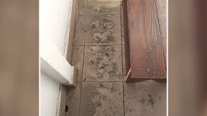 Prezentare agenția de mediu sud. Cartier Din Craiova Sufocat De CenusÄ Oamenii Se Plang CÄ Nici MÄcar Nu Pot Deschide Geamurile Caselor Observatornews Ro