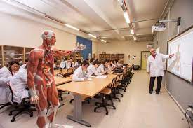 Check spelling or type a new query. Anasayfa Tip Fakultesi Istanbul Okan Universitesi