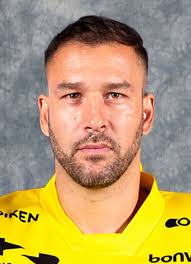 Player photos for the 2003-04 Springfield Falcons at hockeydb.com