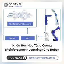 Khóa Học Học Tăng Cường (Reinforcement Learning) Cho Robot