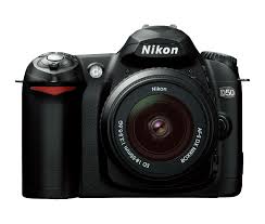 d50 from nikon