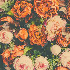 Vintage flower pictures to create vintage flower ecards, custom profiles, blogs, wall posts, and vintage flower scrapbooks, page 1 of 134. Beautiful Vintage Flower Background Vintage Filter Effect Stock Photo Picture And Royalty Free Image Image 41949702